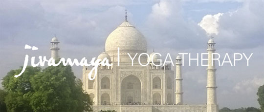 Privaye sessions Jivamaya Yoga Therapy